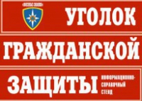 Комплект таблиц "Уголок гражданской защиты" - fgospostavki.ru - Семёнов