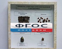 Коллекция энтомологическая "Примеры защитных приспособлений у насекомых" - fgospostavki.ru - Семёнов
