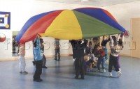 Парашют (вариант 2) - fgospostavki.ru - Семёнов