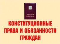 Комплект плакатов "Конституционные права и обязанности граждан" - fgospostavki.ru - Семёнов
