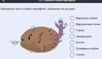 Интерактивные курсы. Биология 6 класс. Расширенный - fgospostavki.ru - Семёнов