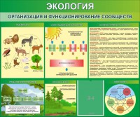 Стенд "Экология. Организация и функционирование сообществ" - fgospostavki.ru - Семёнов