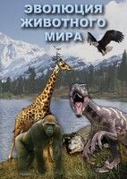 DVD "Эволюция животного мира" - fgospostavki.ru - Семёнов