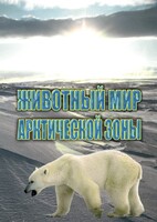 DVD "Животный мир Арктической зоны" - fgospostavki.ru - Семёнов