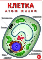 DVD "Клетка - "атом жизни" - fgospostavki.ru - Семёнов