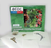 Гербарий "Основные группы растений" (52 листа) - fgospostavki.ru - Семёнов