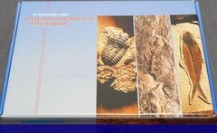 Коллекция "Палеонтологическая" (16 образцов) - fgospostavki.ru - Семёнов