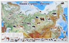 Магнитные карточки "Животные" - fgospostavki.ru - Семёнов