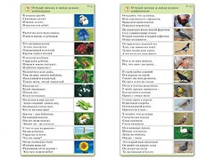 Комплект карточек (10) "Обучающий калейдоскоп. Природа" - fgospostavki.ru - Семёнов