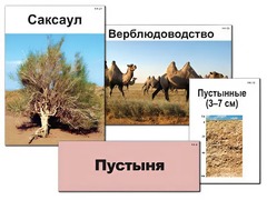 Модель-аппликация "Природные зоны России" (ламинированная) - fgospostavki.ru - Семёнов