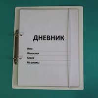 Дневник школьника (с полным набором карточек) - fgospostavki.ru - Семёнов