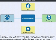 Интерактивные курсы. Биология 5 класс. Базовый - fgospostavki.ru - Семёнов