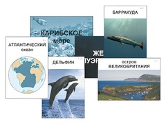 Модель-аппликация "Океаны. Знакомство" (ламинированная) - fgospostavki.ru - Семёнов