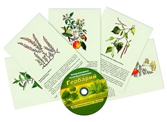 Интерактивный наглядный комплекс "Гербарий "Для начальной школы" - fgospostavki.ru - Семёнов