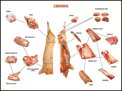 Таблица "Правила разделки мясных туш. Свинина" (100х140 сантиметров. винил) - fgospostavki.ru - Семёнов