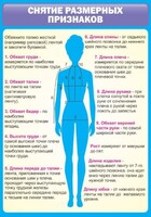 Стенд "Снятие мерок" Вариант 2 - fgospostavki.ru - Семёнов
