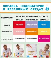 Стенд "Окраска индикаторов в различных средах" - fgospostavki.ru - Семёнов