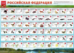 Стенд "Красная книга РФ" - fgospostavki.ru - Семёнов
