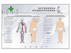 Электрифицированный стенд "Остановка кровотечения" - fgospostavki.ru - Семёнов