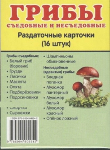 Раздаточные карточки "Грибы съедобные и не съедобные" - fgospostavki.ru - Семёнов