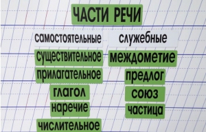 Набор магнитных карточек "Части речи" (фон зелёный) - fgospostavki.ru - Семёнов