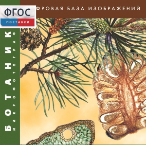 Ботаника. Микрофотографии. (Цифровая база изображений) - fgospostavki.ru - Семёнов