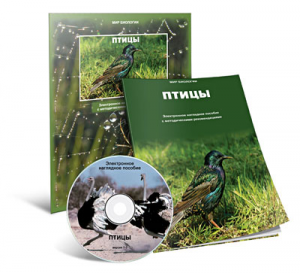 Электронное наглядное пособие «Птицы» - fgospostavki.ru - Семёнов