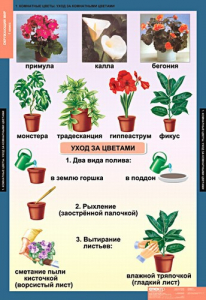 Комплект таблиц. Окружающий мир 1 класс. - fgospostavki.ru - Семёнов