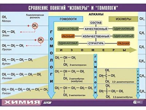 Таблица демонстрационная "Сравнение понятий изомер и гомолог" (винил 100x140) - fgospostavki.ru - Семёнов