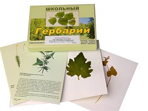 Гербарий "Систематика растений. Высшие споровые и семенные" (раздаточный) - fgospostavki.ru - Семёнов