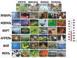 Фенологические наблюдения - fgospostavki.ru - Семёнов