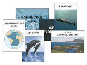 Модель-аппликация "Океаны. Знакомство" (ламинированная) - fgospostavki.ru - Семёнов