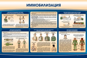 Стенд "Иммобилизация" - fgospostavki.ru - Семёнов