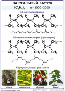 Комплект демонстрационных таблиц по химии "Полимеры" (комплект 12 таблиц) - fgospostavki.ru - Семёнов