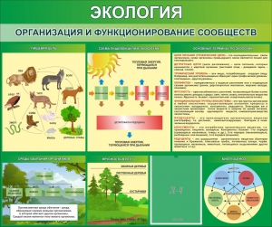 Стенд "Экология. Организация и функционирование сообществ" - fgospostavki.ru - Семёнов
