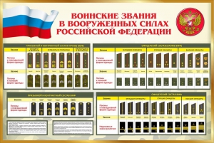 Стенд "Воинские звания в вооруженных силах РФ" - fgospostavki.ru - Семёнов