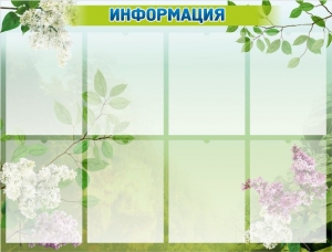 Стенд "Информация" Вариант 13 - fgospostavki.ru - Семёнов