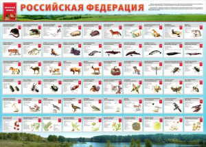 Стенд "Красная книга РФ" - fgospostavki.ru - Семёнов