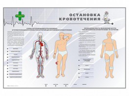 Электрифицированный стенд "Остановка кровотечения" - fgospostavki.ru - Семёнов