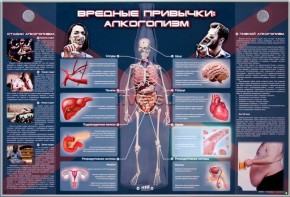 Электрифицированный стенд "Вредные привычки: алкоголизм" - fgospostavki.ru - Семёнов