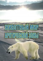 DVD "Животный мир Арктической зоны" - fgospostavki.ru - Семёнов