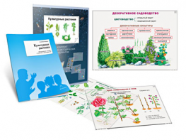 Комплект кодотранспарантов "Культурные растения" - fgospostavki.ru - Семёнов