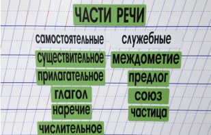 Набор магнитных карточек "Части речи" (фон зелёный) - fgospostavki.ru - Семёнов