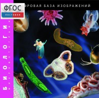 Биология. Микрофотографии. (Цифровая база изображений) - fgospostavki.ru - Семёнов
