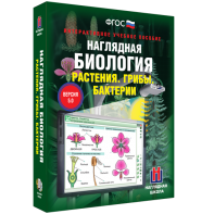 Наглядная биология. 6 класс. Растения. Грибы. Бактерии - fgospostavki.ru - Семёнов