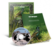 Электронное наглядное пособие «Птицы» - fgospostavki.ru - Семёнов