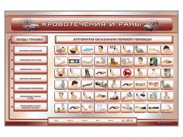 Трехсекционный базовый комплект "Травмы. Кровотечения. Ожоги" для учащихся общеобразовательных учреждений - fgospostavki.ru - Семёнов