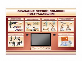 Многофункциональный интерактивный стенд-тренажер "Оказание первой помощи пострадавшим" для учащихся общеобразовательных учреждений - fgospostavki.ru - Семёнов