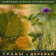 Растения средней полосы России "Травы и Деревья". (Цифровые атласы-определители) - fgospostavki.ru - Семёнов