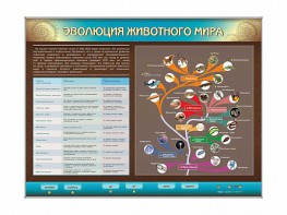 Интерактивный электрифицированный стенд "Эволюция животного мира" - fgospostavki.ru - Семёнов